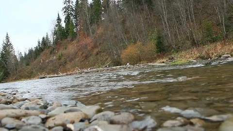 Mountain river with a rapid current. Stormy mountain river. Video stock 85986960