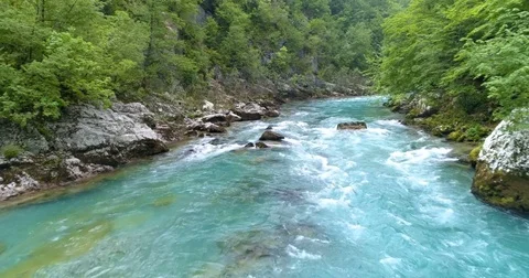 Mountain river with a rapid current surrounded by forests. Stock Footage 76271016