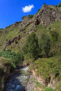 Mountain river with a rapid flow in the Caucasus Range. Foto stock