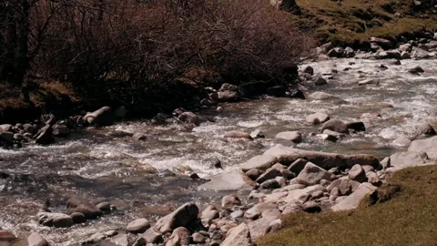 Mountain river with a rapid flow Stock Footage 264755580