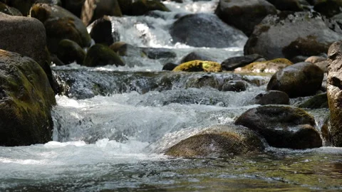 Mountain River Rapids 4K Apple ProRes Stock Footage 251952506