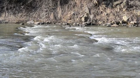 Mountain river with rapids and water flowing along river bank Stock Footage 52555514