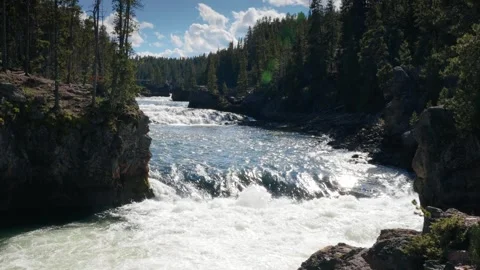 Mountain River Rapids And Waterfall In Yellowstone Canyon And Forest Stock Footage 330314353