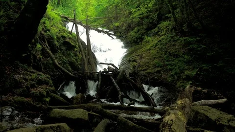Mountain river with rapids and waterfalls - stream flowing through thick green Stock Footage 89371127