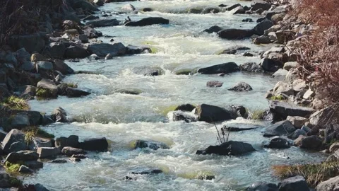Mountain river with rapids and waterfalls. Stock Footage 268745552