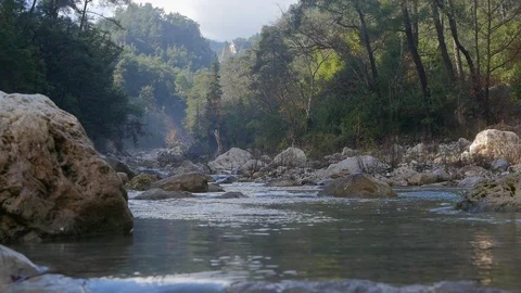 Mountain river rapids in autumn Stock Footage 87868485