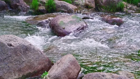 Mountain River Rapids Between Rocks Vidéo 346197456