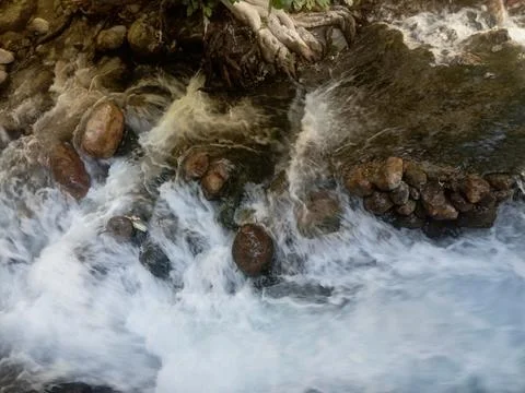 Mountain River Rapids Flowing Around Rocks and Tree Roots, Top View Stock Photos