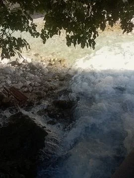 Mountain River Rapids Flowing Beneath Forest Tree Canopy Stock Photos