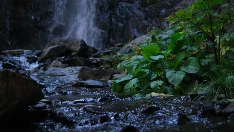 A mountain river with rapids flows. Wet rocks, splashes and foam. Waterfall in t Stock Footage 162155210