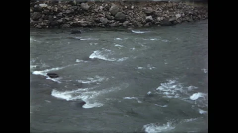 Mountain river rapids Video stock 47663541