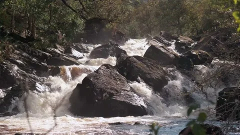 Mountain river rapids Video stock 162989464