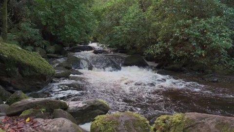 Mountain river rapids Video stock 163298796