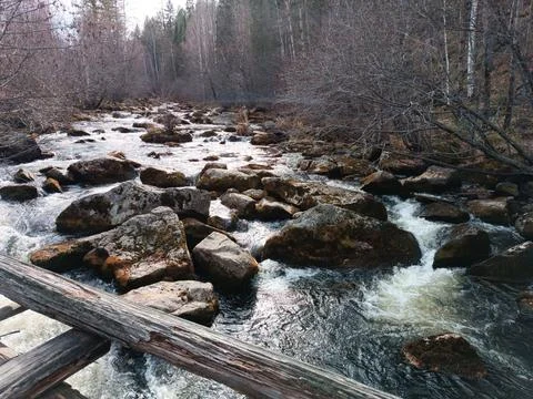 Mountain river with rapids in the forest Stock Photos