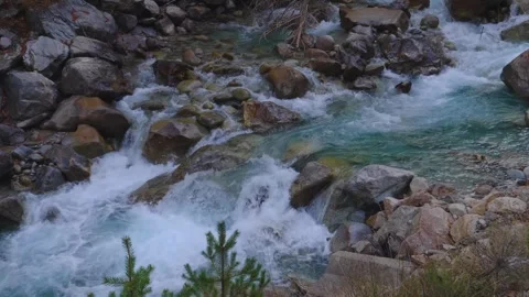 Mountain River Rapids in North Caucasus, Russia Stock Footage 320854973