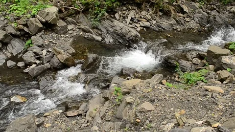 Mountain river with rapids, small waterfalls and foam Stock Footage 76240621