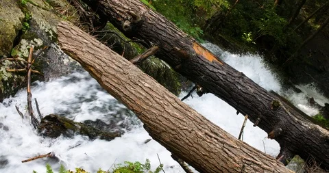 Mountain River Rapids with two Tree logs Stock-Footage 95765000