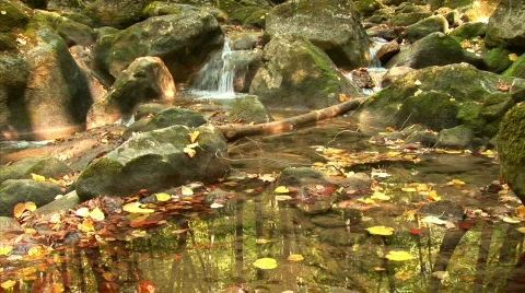 Mountain river. Reflection in water Stock Footage 525965