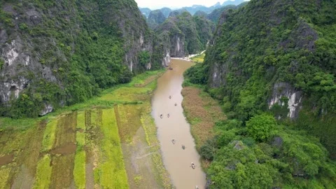 Mountain river rice field Stock-Footage 274414487