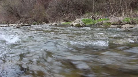 The mountain river. A river with cold water and stones. Clean stream of water Stock Footage 153765836