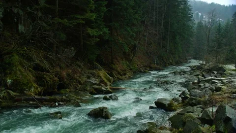 Mountain river, rock and dense forest Vídeos de archivo 84971297