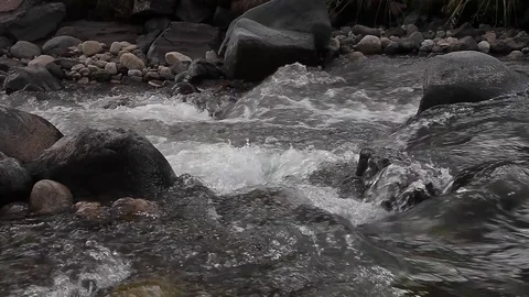 Mountain river with rocks (caucasus) Stock Footage 83759425