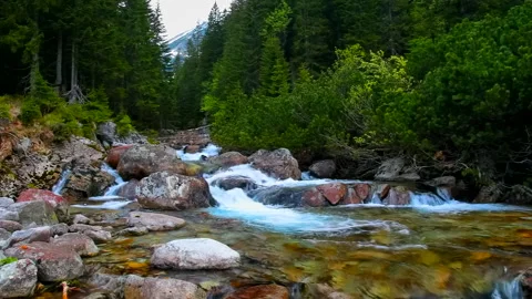 Mountain river with rocks in the forest, real time, zoom in, hd. ProRes 422 HQ. Stock Footage 234619202