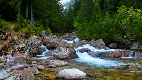 Mountain river with rocks in the forest, real time, tilt up, hd. ProRes 422 HQ. Stock Footage 236389059