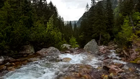 Mountain river with rocks in the forest, real time, zoom in, hd. ProRes 422 HQ. 库存影片 238510183