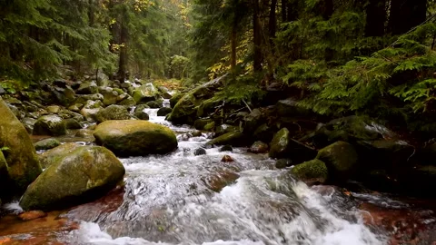 Mountain river with rocks in the forest, wide shot, slow motion, panning, hd Stock Footage 240007973