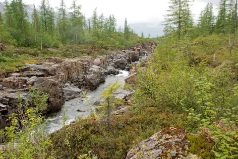 Mountain river in the rocks. Stock Photos