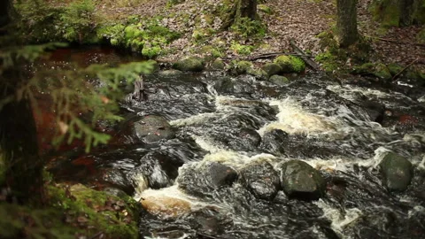 Mountain river roll Stock Footage 87319939