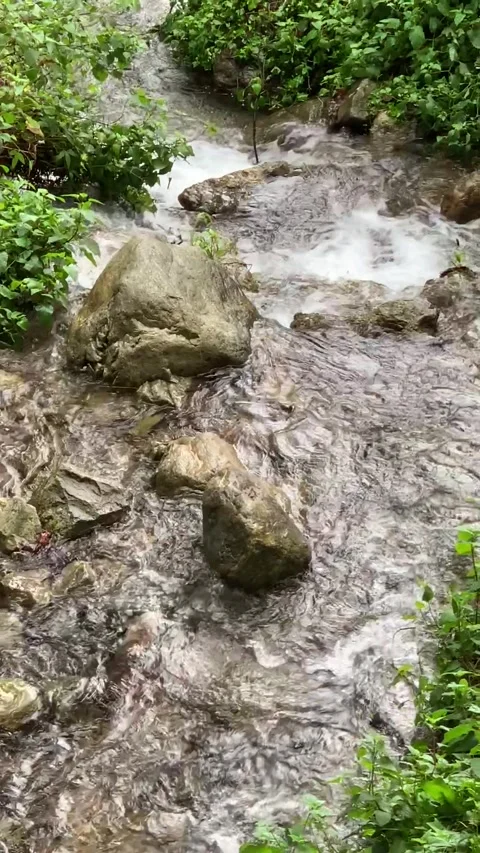 Mountain river running over stones Stock Footage 290518792