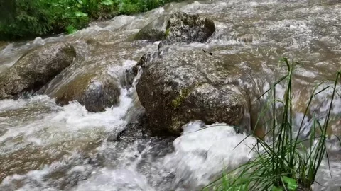 Mountain river running running through lush green forest Vídeos de archivo 329058697