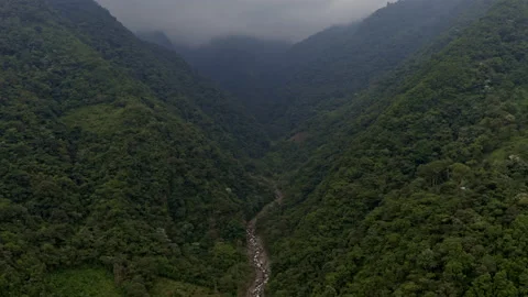 A mountain river running through a canyon covered in forest in the Andes Stock Footage 170028326