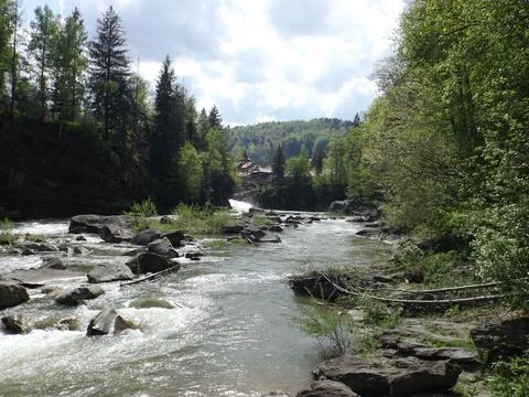 Mountain River Rushing Through Rocky Forest Landscape Foto stock
