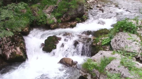 Mountain river scenery Stock Footage 52462787