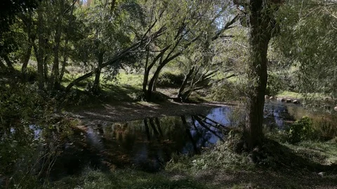 Mountain river in shadow Stock Footage 81537772