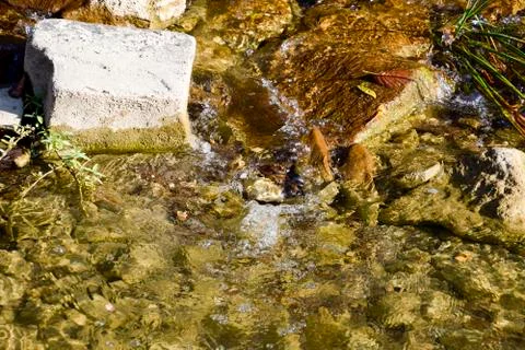 The mountain river. Shallow mountain river, water flows through the rocks. Foto stock