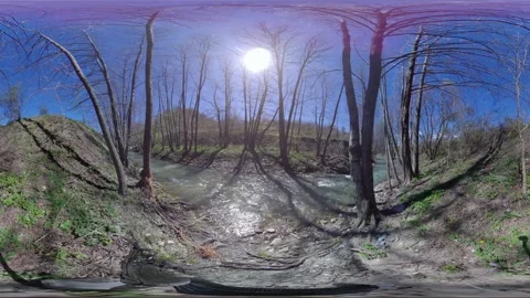 Mountain river, shore, spring, sunny weather, 360 VR video Stock Footage 273579049