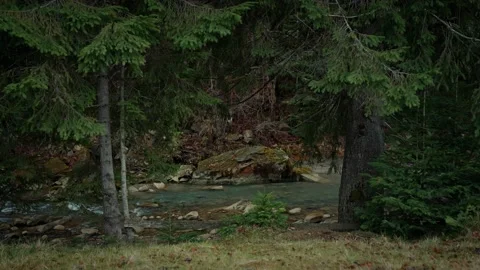 Mountain river shot Stock Footage 195164254
