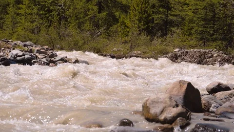 Mountain river in Siberia Stock Footage 106544221