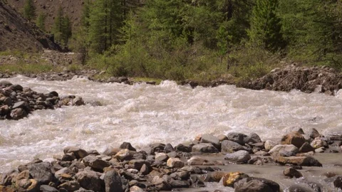 Mountain river in Siberia Stock Footage 106544876