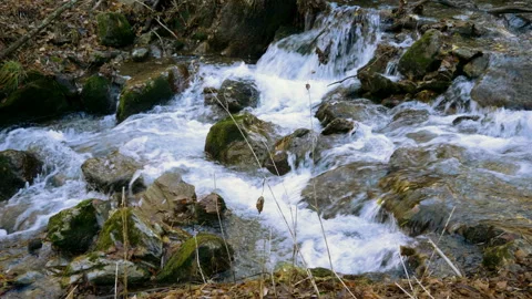 Mountain river on the slopes of the Eastern Pyrenees. Spain. 4K Vidéo 112735980