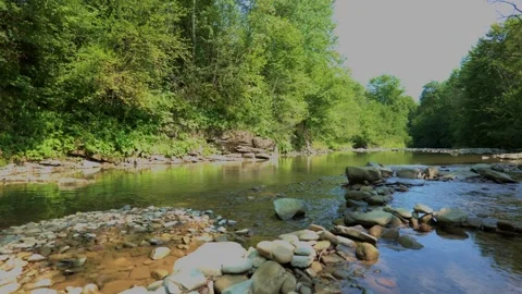 Mountain River in Slovak Forest Landscape Stock-Footage 333596736