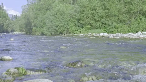 Mountain River in Slovakia Stock-Footage 331347649