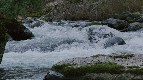 Mountain River Slow Motion in the Pacific North West Stock Footage 144561584