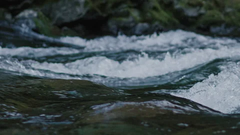 Mountain River Slow Motion in the Pacific North West Close Up Stock Footage 144561606