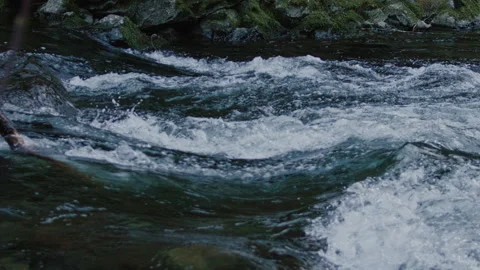 Mountain River Slow Motion in the Pacific North West Medium Shot Stock Footage