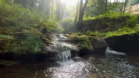 Mountain river with small rapids in autumn mountains Stock Footage 263886826